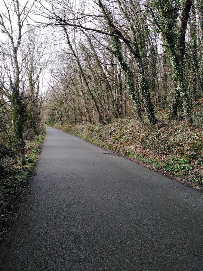 The Mill Cottage Llechryd Esterno foto