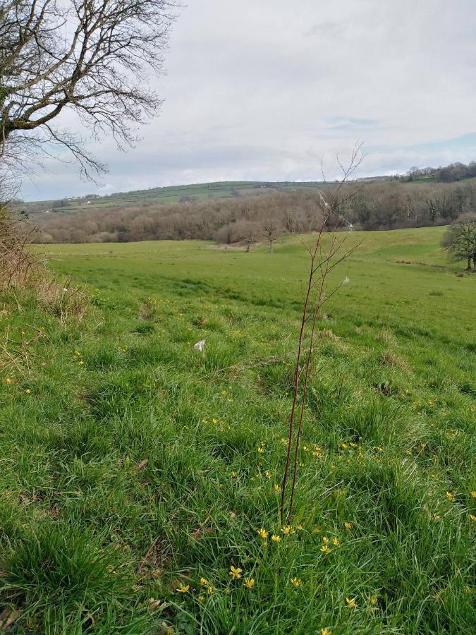 The Mill Cottage Llechryd Esterno foto