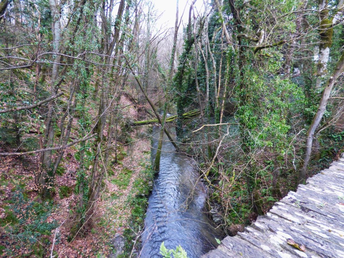 The Mill Cottage Llechryd Esterno foto