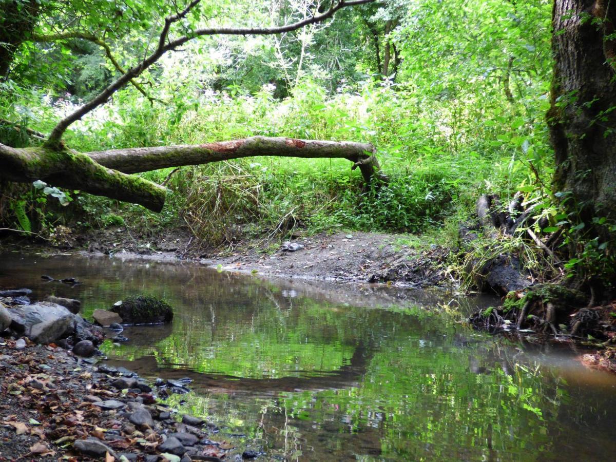 The Mill Cottage Llechryd Esterno foto